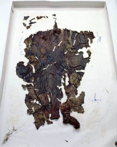 Leggings Found with the Oetzi Iceman by Copper Age